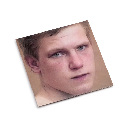 The Fall of Communism as Seen in Gay Pornography