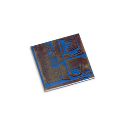 Crocidura Dsi Nezumi