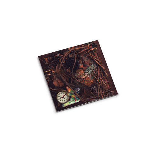 Feedback Purple Yellow