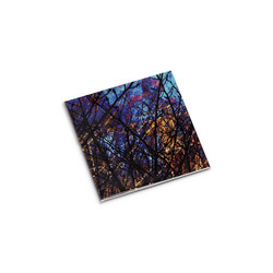 雀色 1 Sparrow Color 1