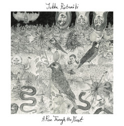 A Run Through The Forest