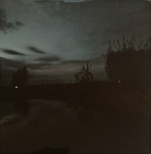 Echoes Of A Fading Existence 