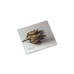 The Intimate Overlap