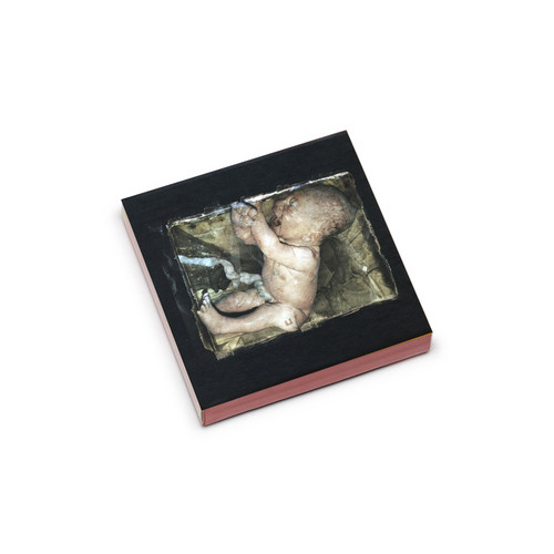 The Art Of Gentle Revolution (5CD box)