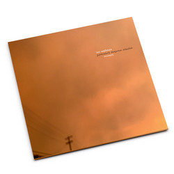  Particularly Dangerous Situation 