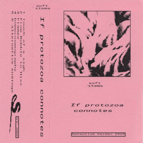  If protozoa connotes 