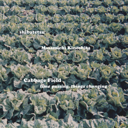  Cabbage Field: time passing, things changing 