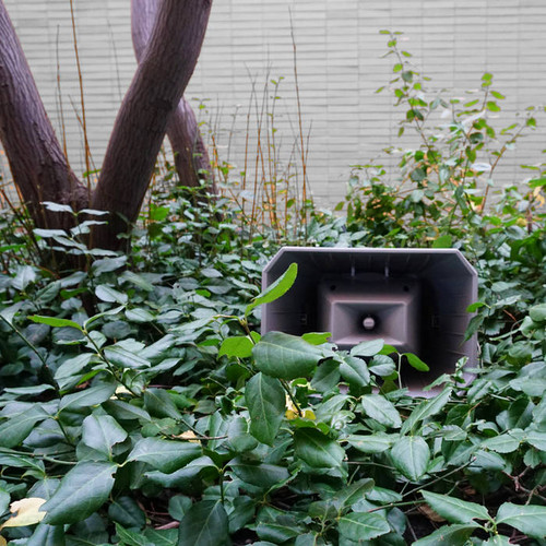 Muzak For The Encouragement Of Unproductivity