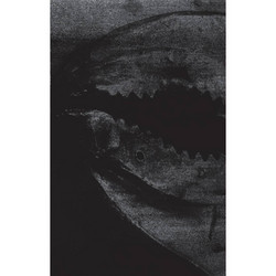 Early Recordings 1991