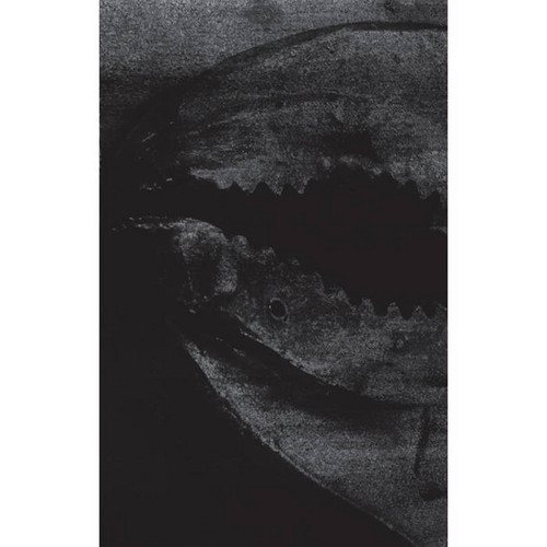 Early Recordings 1991