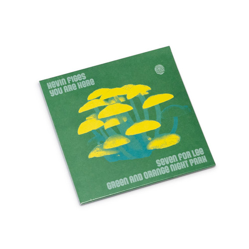 Seven for Lee / Green and Orange Night Park