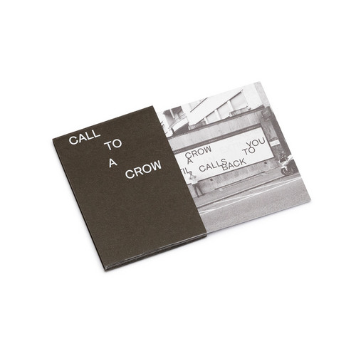 Call to a Crow - Appelle un Corbeau, 2024 (Leporello Book)