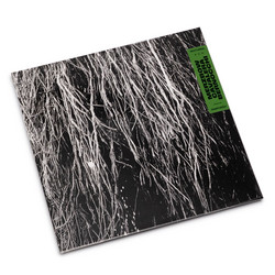 Nocturnal Rainforest