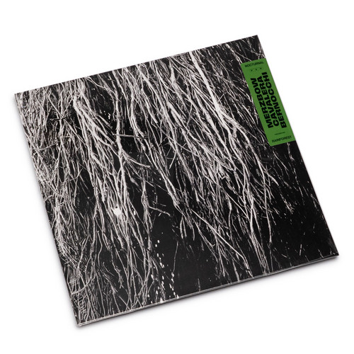 Nocturnal Rainforest