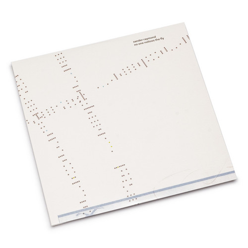 No One Notices the Fly