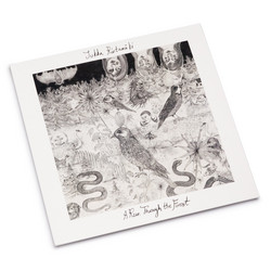 A Run Through The Forest