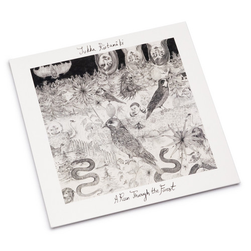 A Run Through The Forest