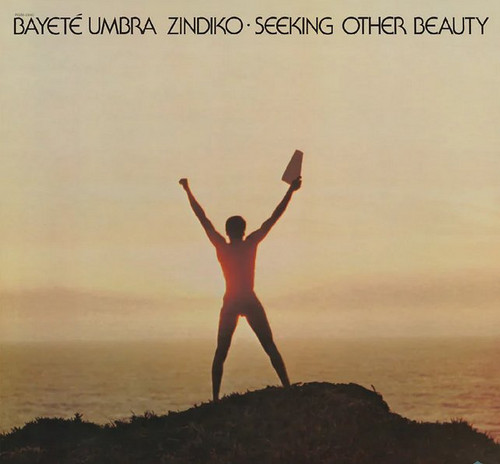 Seeking Other Beauty