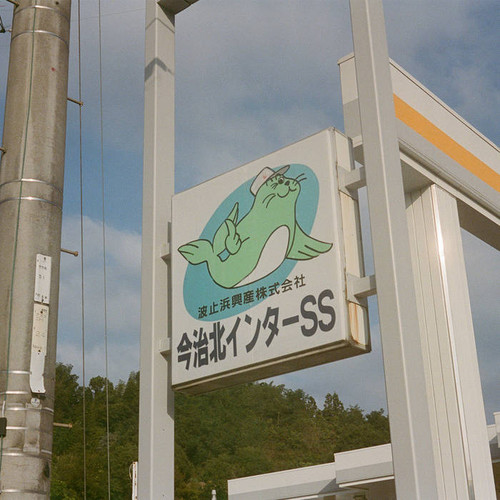  Low Tide, Hi Grypus! 