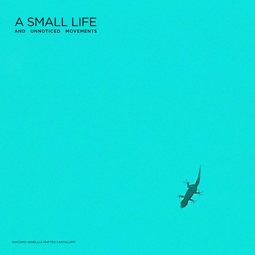  A Small Life and Unnoticed Movements 