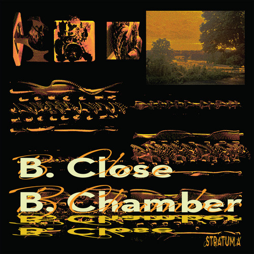 B. Chamber (Stratum A)