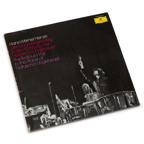 Der Langwierige Weg In Die Wohnung Der Natascha Ungeheuer (LP)