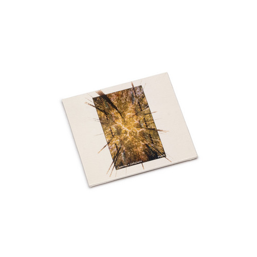 Canopies + Cathedrals