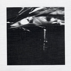 Received in Studio Dental, Gothenburg