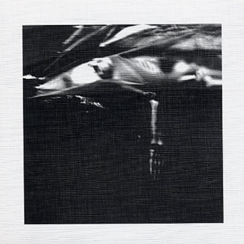 Received in Studio Dental, Gothenburg