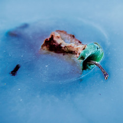 Gigi Masin Presents: An Apple A Day You Die Anyway