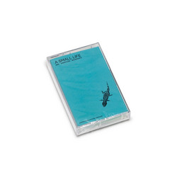  A Small Life and Unnoticed Movements 