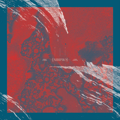 XIBIPIIO. In And Out Of Experience