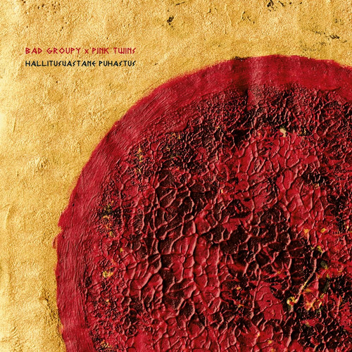 Hallitusvastane Puhastus