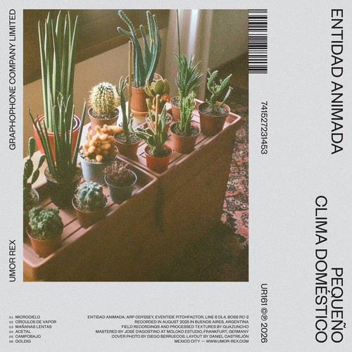  Pequeño clima doméstico 