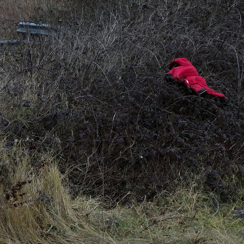 A Storm And It's Aftermath