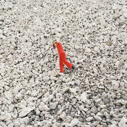  L’uso e gli attributi del cuore 