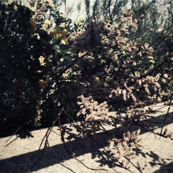 D'une nostalgie inconnue