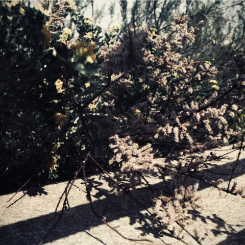 D'une nostalgie inconnue