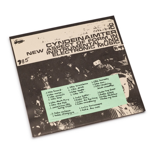 I Hate The Pop Group (LP)