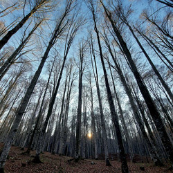 In & Out The Confort Zone