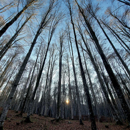 In & Out The Confort Zone