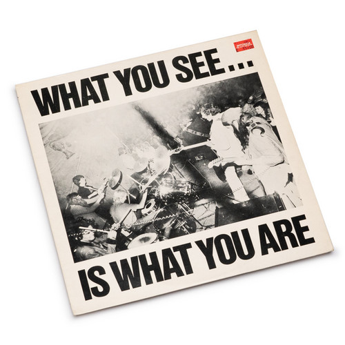 What You See... Is What You Are (LP)