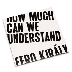  How Much Can We Understand 