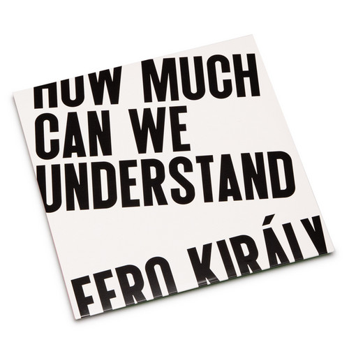  How Much Can We Understand 