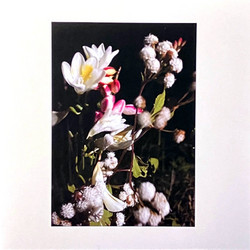 Fog On My Brain/Figure It Out