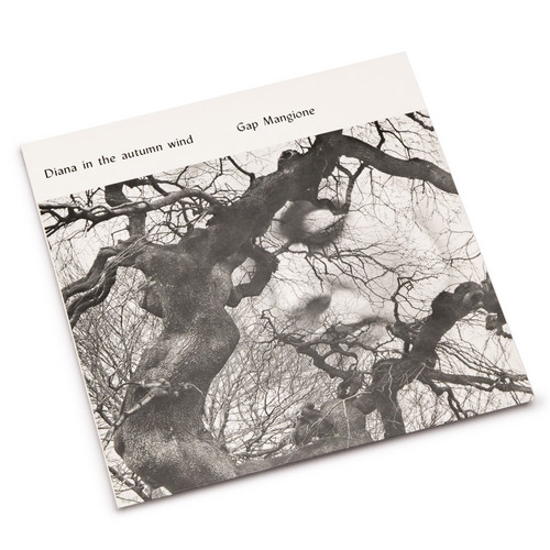 Diana in the Autumn Wind