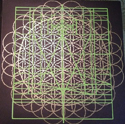 Tom Carter And Pat Murano