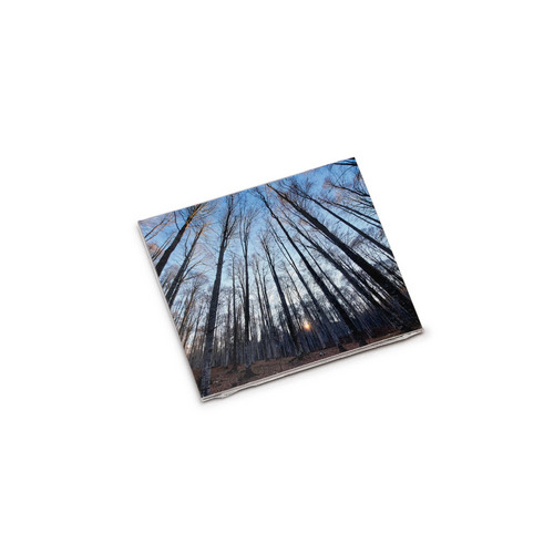 In & Out The Confort Zone