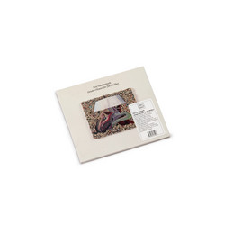 October Flowers for Joe McPhee