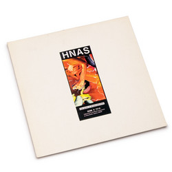 The Book Of Dingenskirchen (LP)